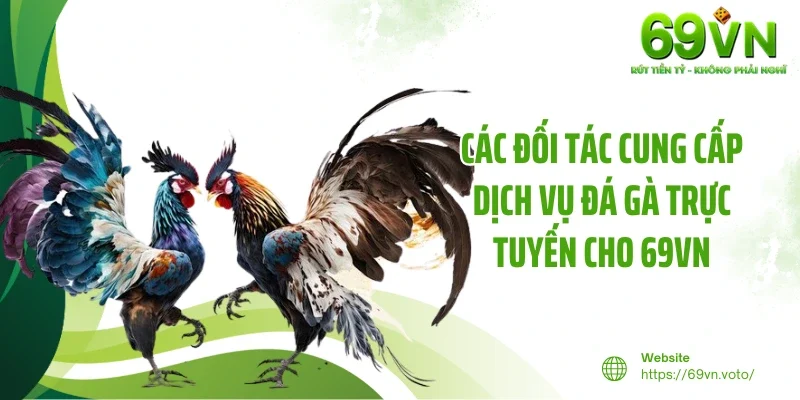 Đá Gà 69VN 2 Các đối tác cung cấp dịch vụ đá gà trực tuyến cho 69VN