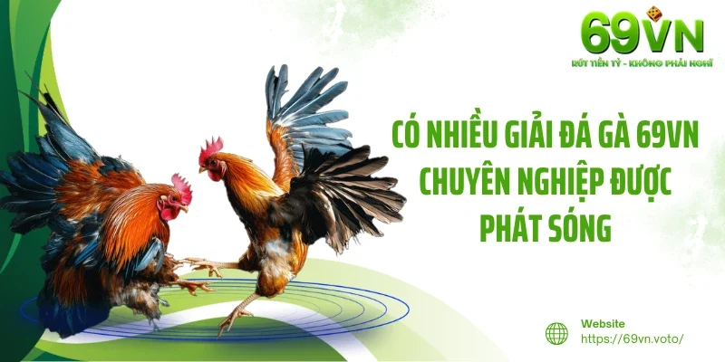 Đá Gà 69VN 3 Có nhiều giải đá gà 69VN chuyên nghiệp được phát sóng