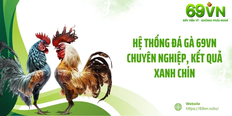 Đá Gà 69VN 1 Hệ thống đá gà 69VN chuyên nghiệp, kết quả xanh chín